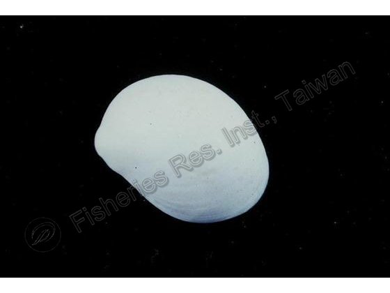 FRIM00360