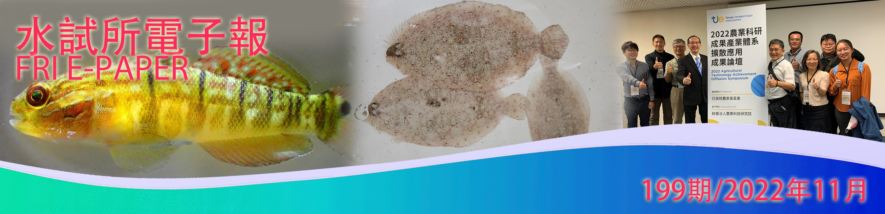 水試所電子報--第一九九期