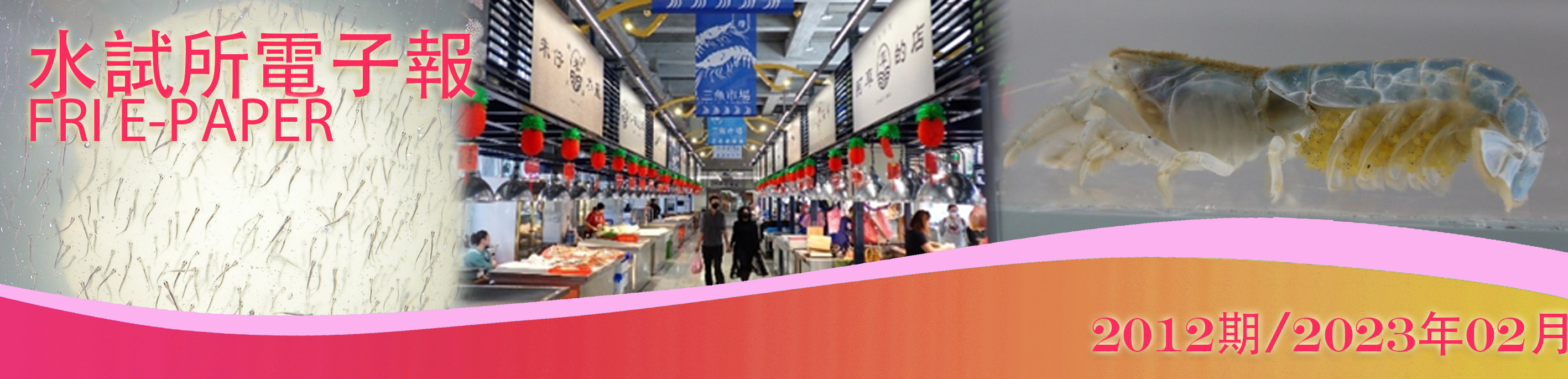水試所電子報--第二０二期