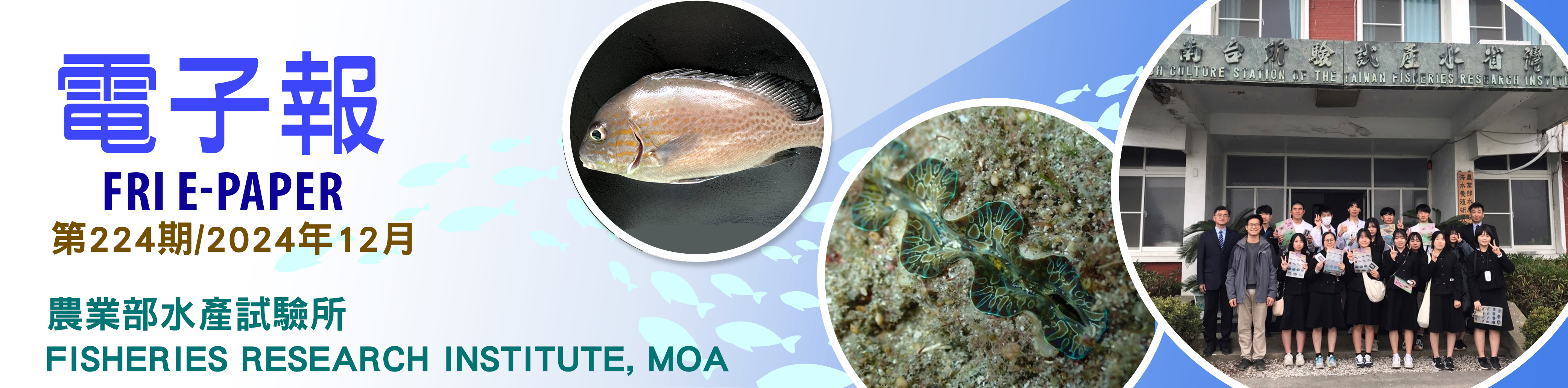 水試所電子報--第二二四期