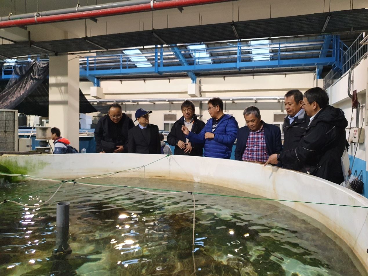 介紹比目魚繁養殖成果