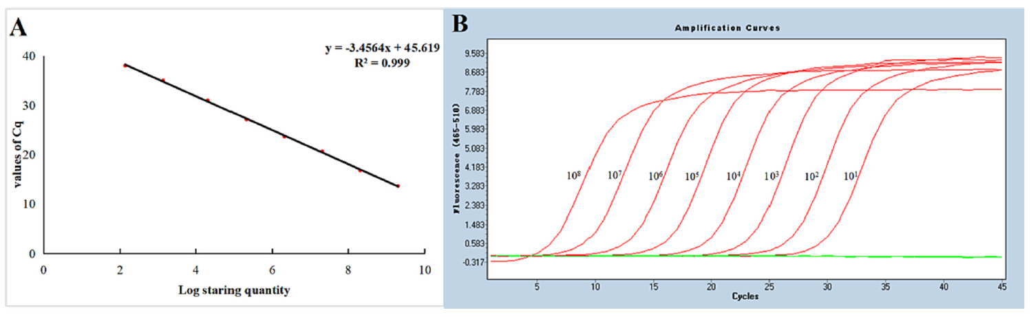圖2、TaqMan探針即時定量 PCR (qPCR)。