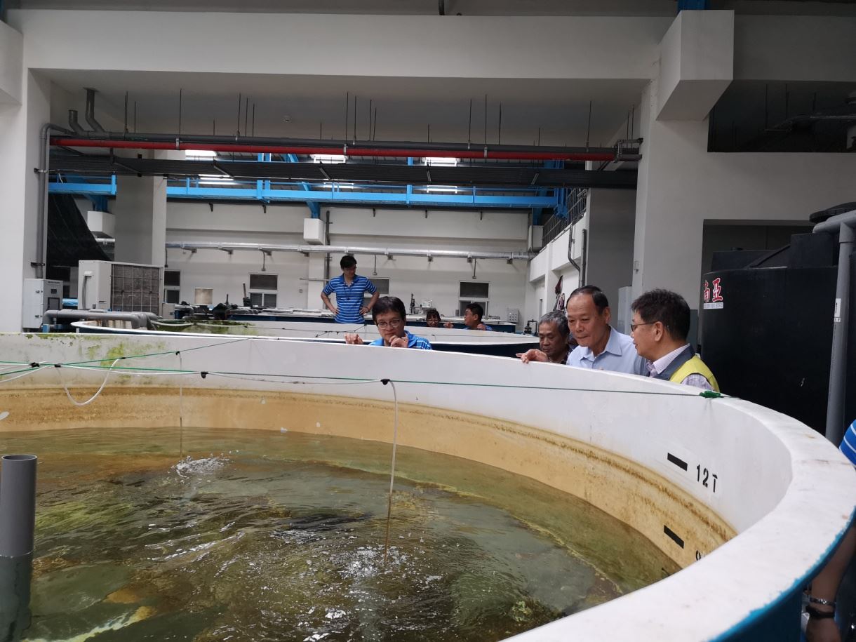 何主任(右一)向李主委(右二)說明牙?繁養殖研究成果