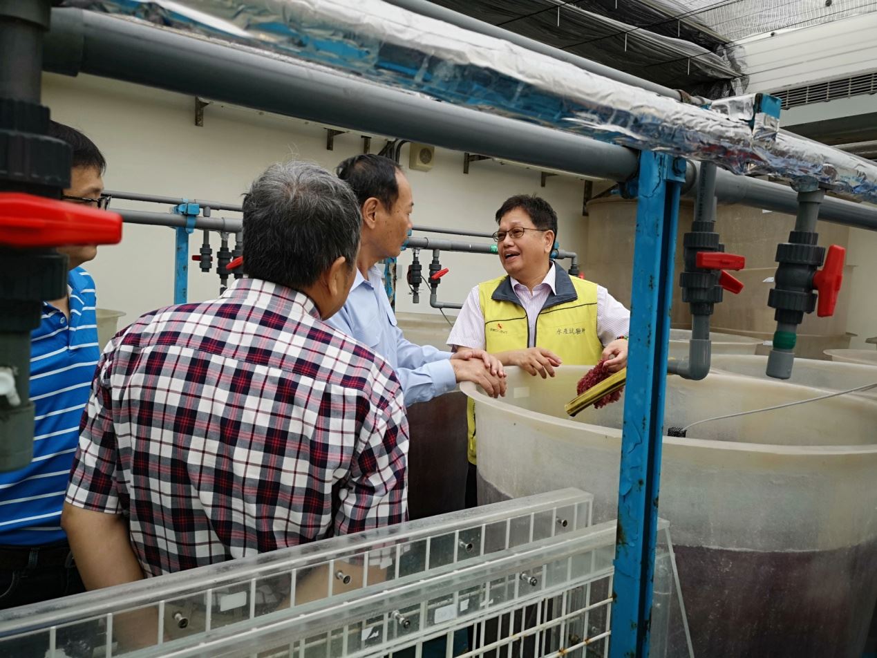 參觀葡萄藻養殖