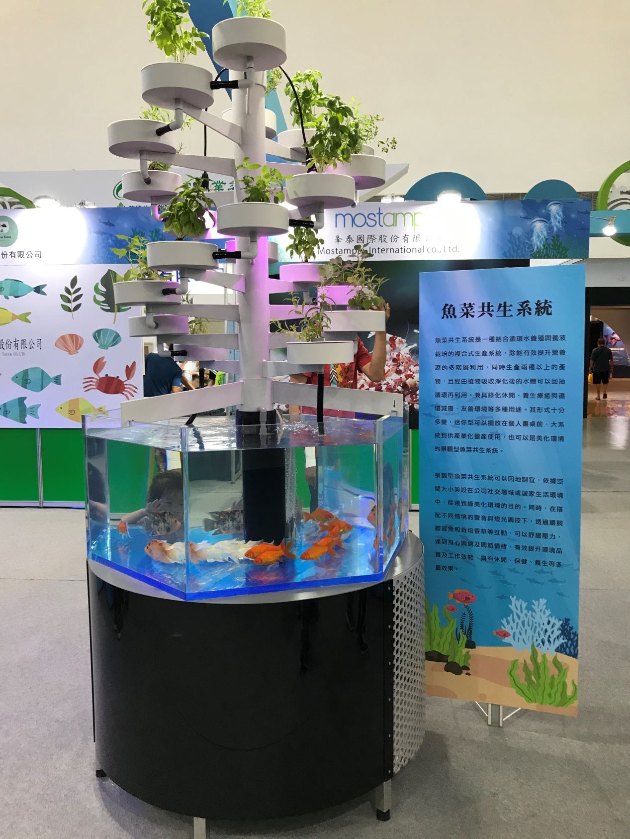 以香草植物搭配觀賞魚養殖之魚菜共生系統