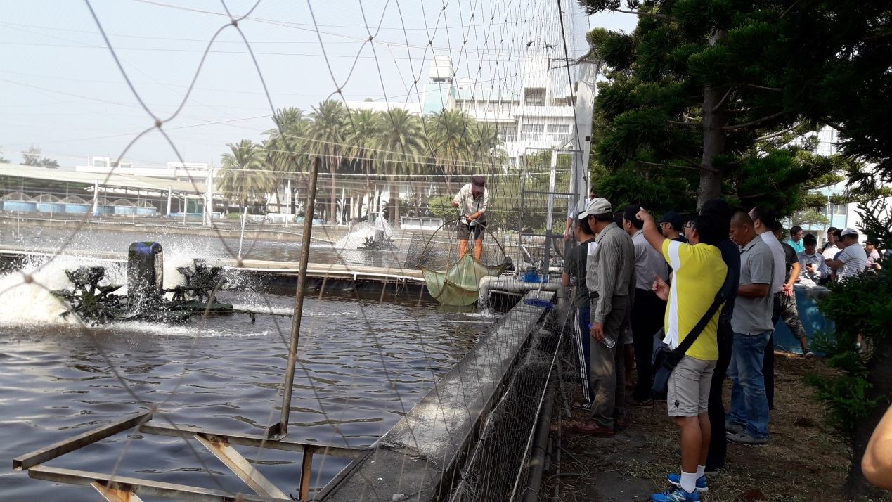 107年11月7日於本所東港中心舉辦，技工楊生山先生展示防疫設施內養殖的白蝦