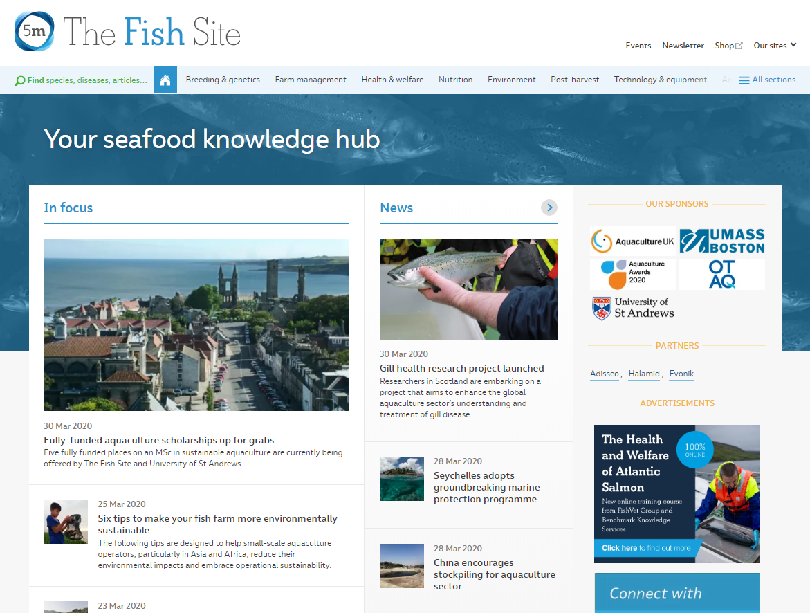 01)The Fish Site網站