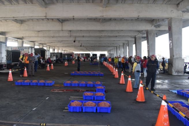 圖二、櫻花蝦拍賣管制區