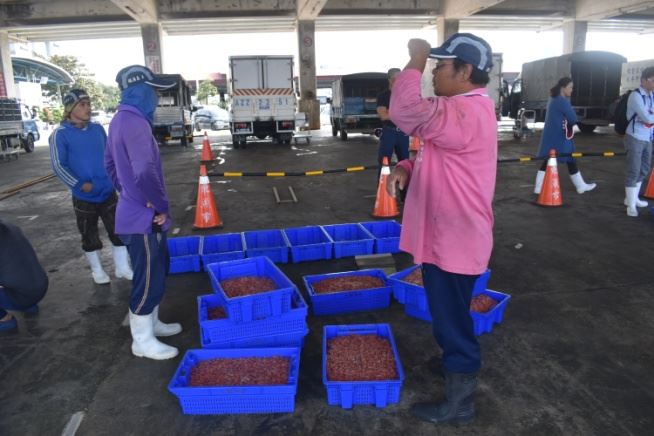圖四、櫻花蝦拍賣場之賣家