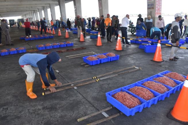 圖六、櫻花蝦秤重後放置於拍賣場的木架上