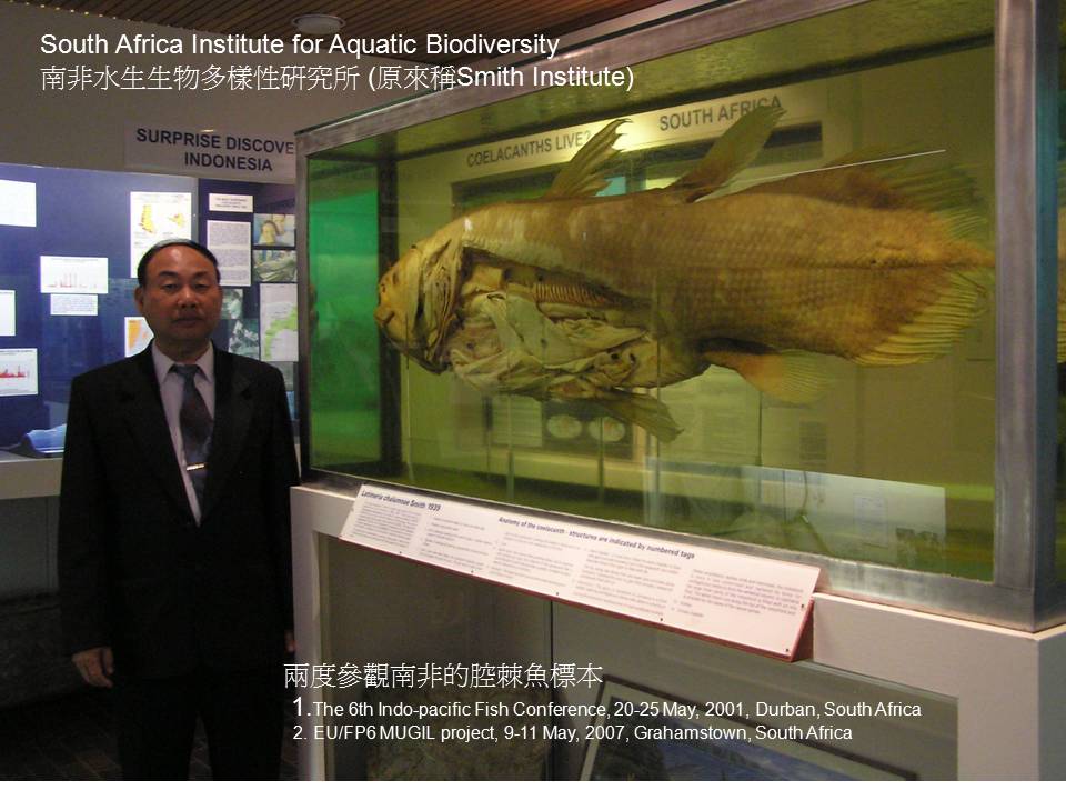 南非水生生物多樣性研究所的腔棘魚標本