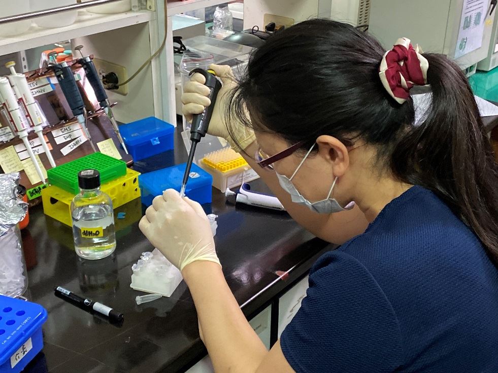 進行PCR反應試劑配製