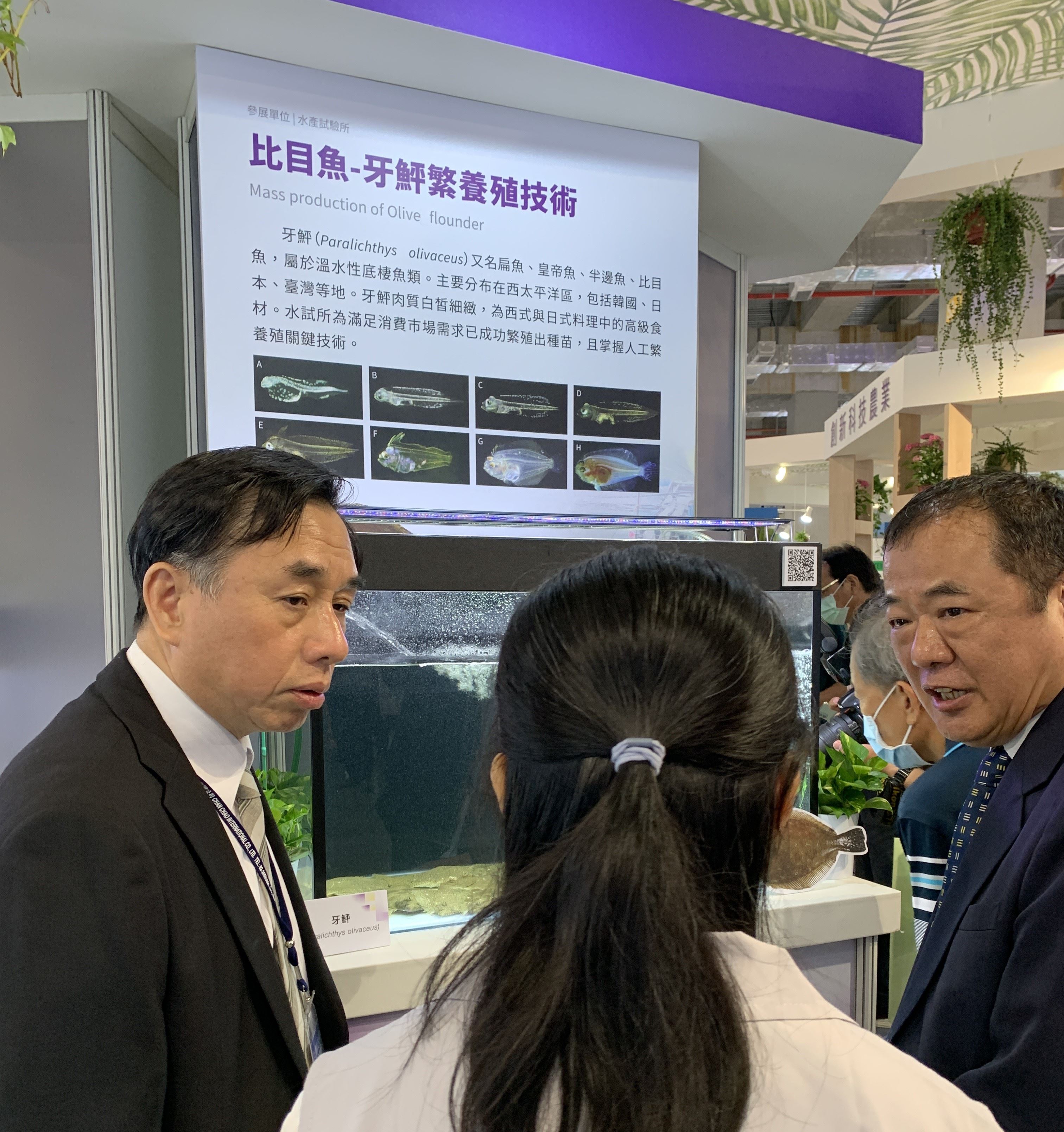 本所陳君如所長、研究人員與漁業署張致盛署長一起討論產業化發展模式