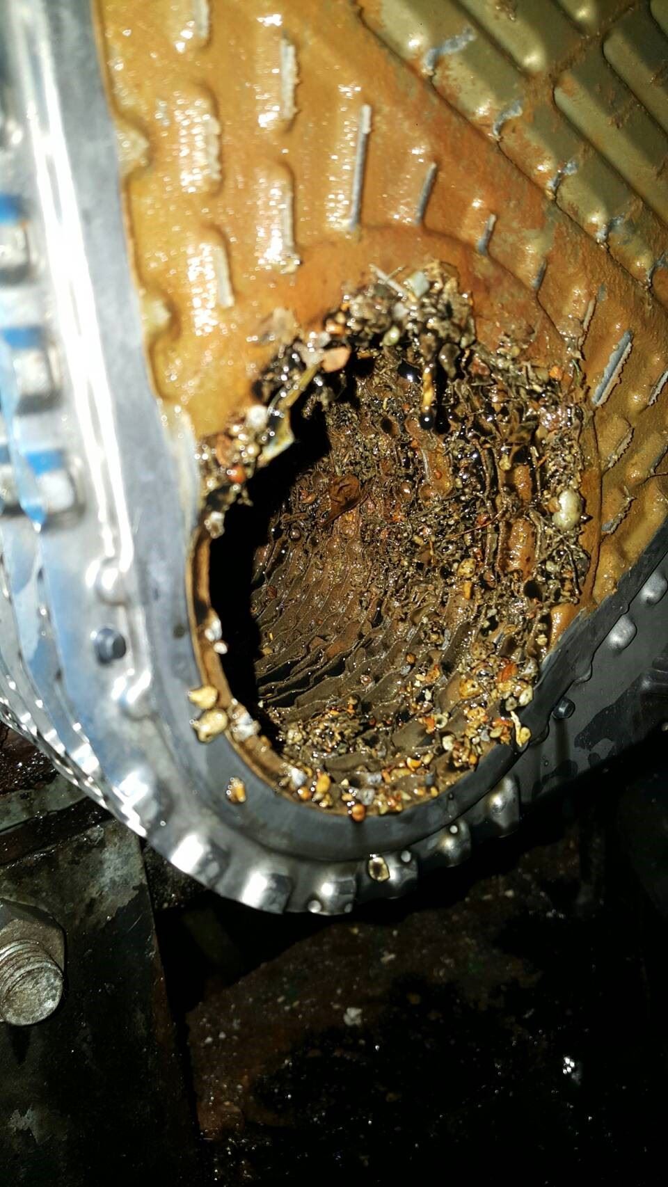 圖5、水試一號海水冷?系統吸入小浮石堵塞冷?器