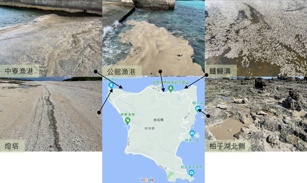 圖4、綠島沿岸浮石堆積情形