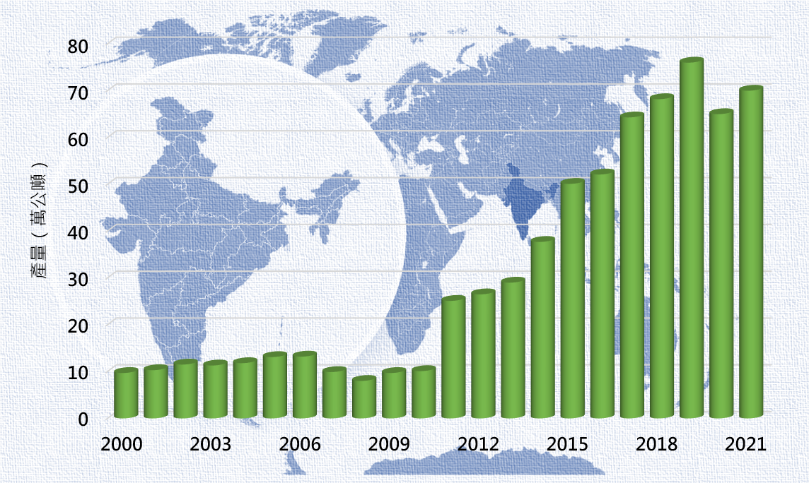 圖2、印度的蝦類養殖產業發展迅速，2000年時養殖蝦產量尚不足10萬公噸，2019年已竄升至76萬公噸，增加了7.8倍