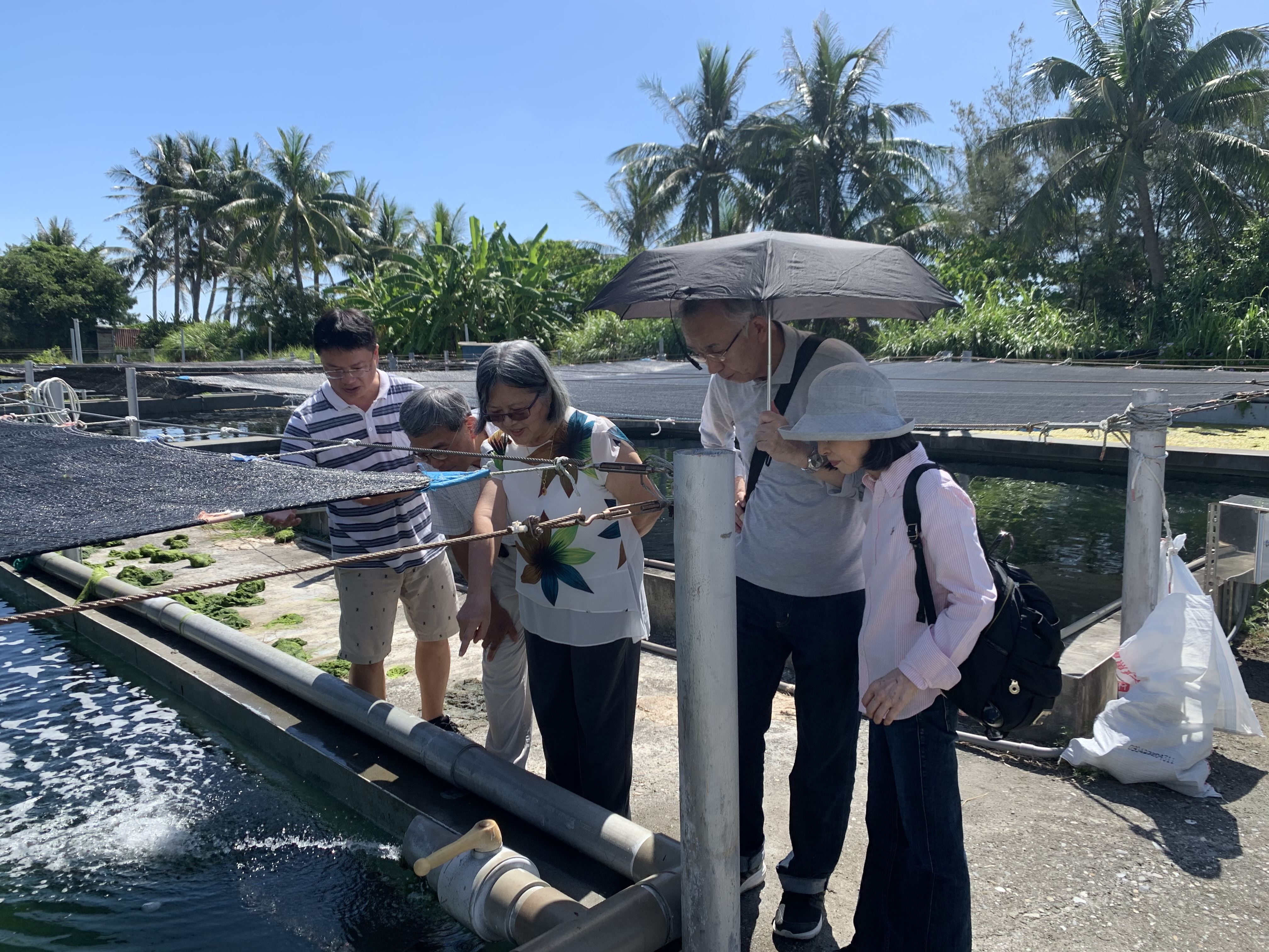 參觀海葵魚種苗室外培育池