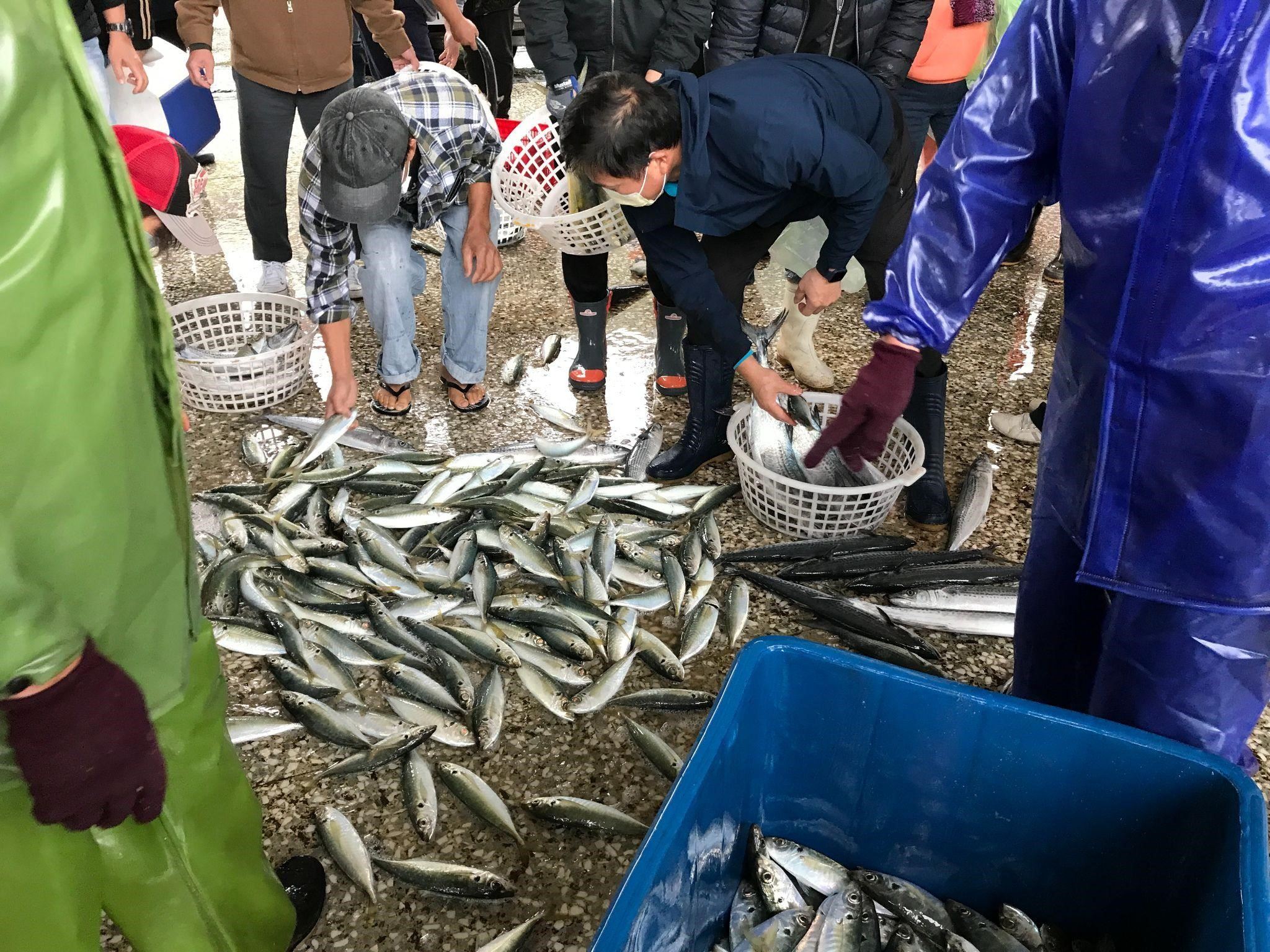 圖4.人潮散去地上剩下量大的竹莢魚