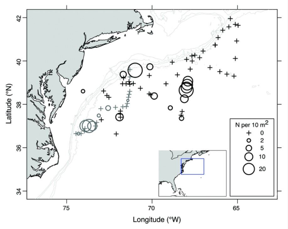 圖1、黑鮪Slope Sea產卵場仔魚豐度分布圖(引用自Hernandez et al., 2022)