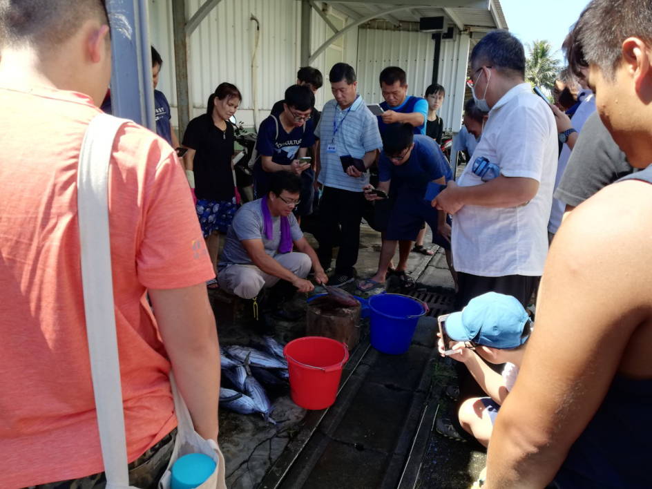 小丑魚種魚餌料製備實作