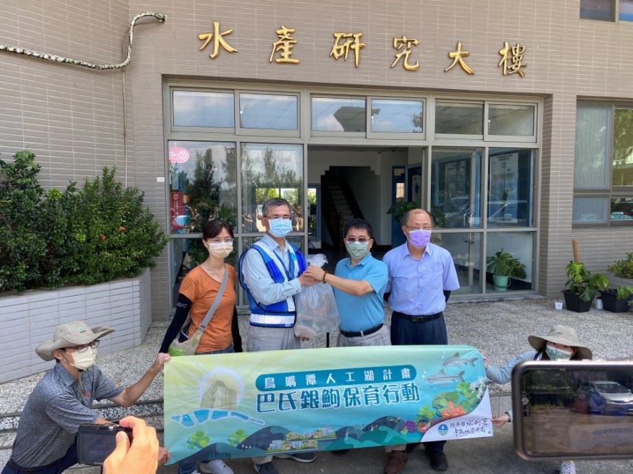 巴氏銀鮈域外保種觀摩交流以及將回放的亞成魚
