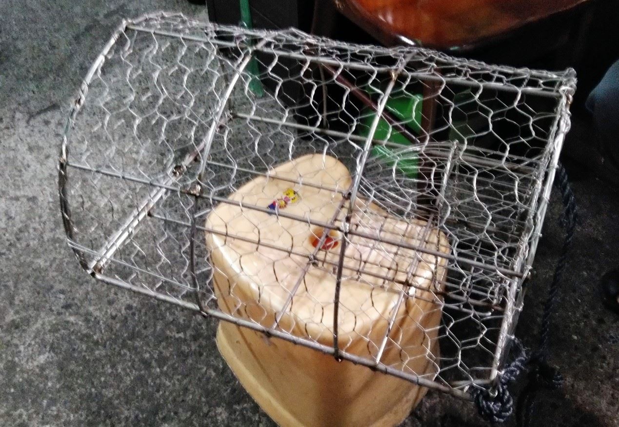 圖2、赤?籠具(右側為入口)