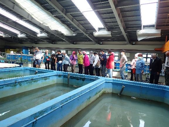 圖3鳳螺養殖池現場講解