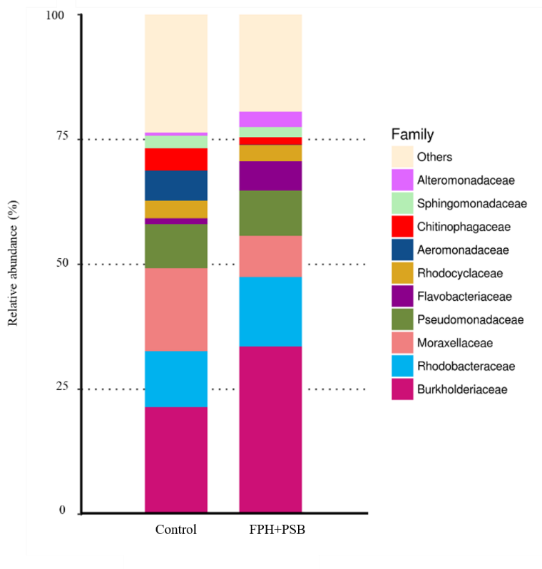 圖3、次世代分析餌料生物菌相組成
