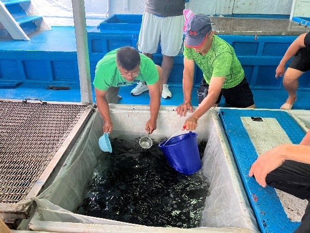 活魚船艙上清點作業