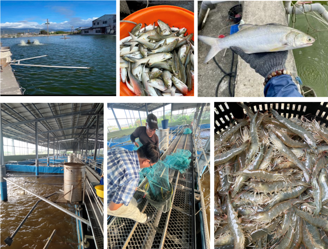  協同民間養殖業者，建立田間試驗場和示範場