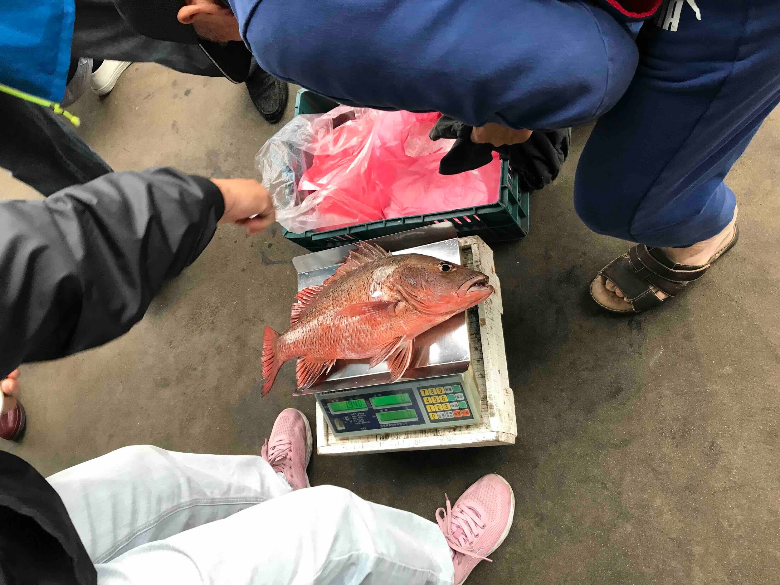 零買的魚自行去找頭家秤重付錢