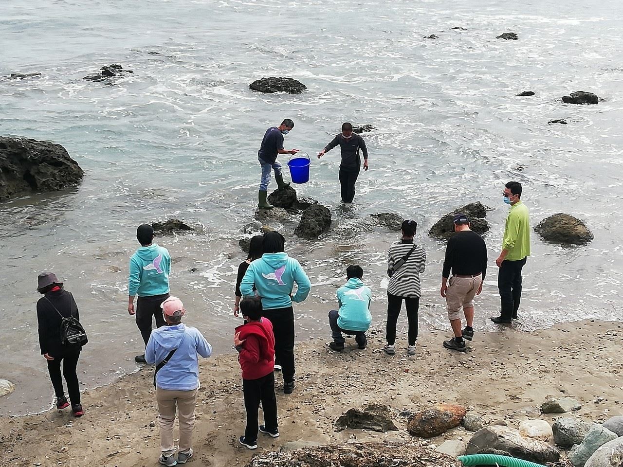 圖2、同仁將雀鯛放流於較深水域，小魚得以順利游入珊瑚礁區