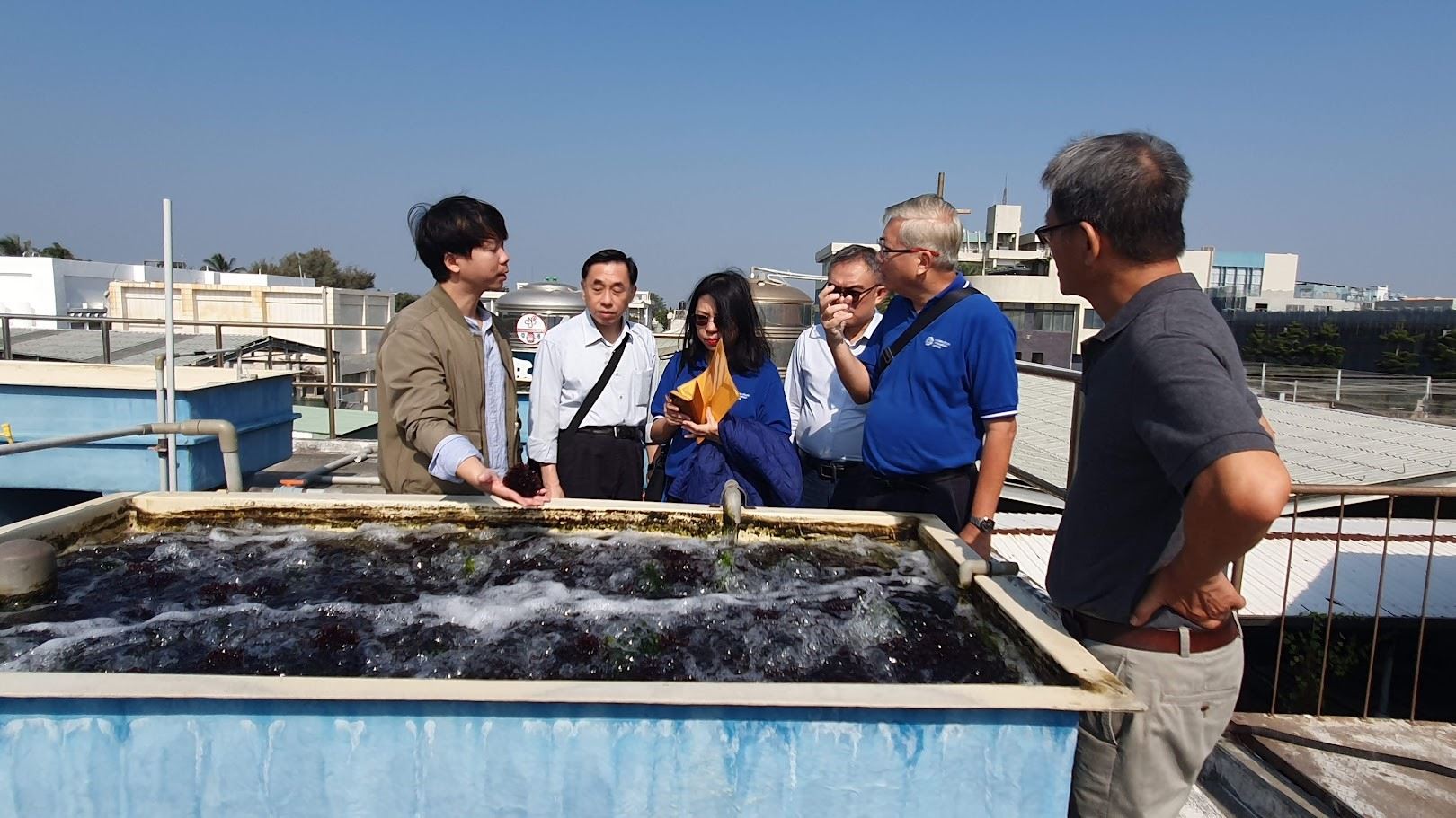 介紹魚藻共生系統