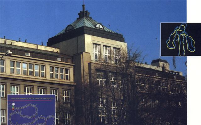 Proceedings of Czech-Taiwan Symposium on Biotechnology