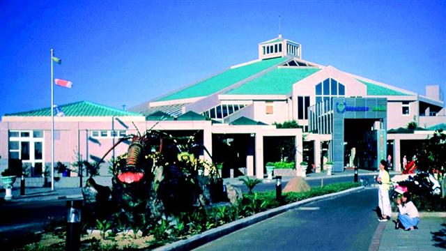 2000全國教育機構終身學習系列活動—探訪澎湖潮間帶生物研習活動