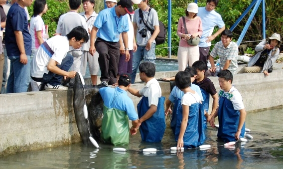 97年度農業人力培育計畫－臺東區築巢營隊海水觀賞魚類繁養殖實務班