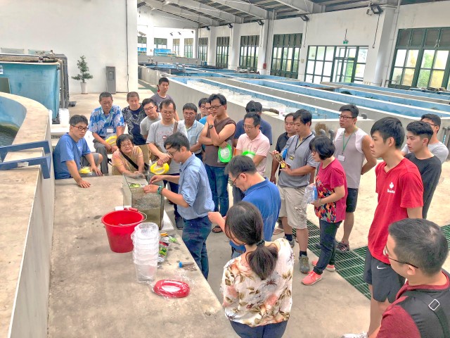 淡水觀賞魚繁養殖入門班