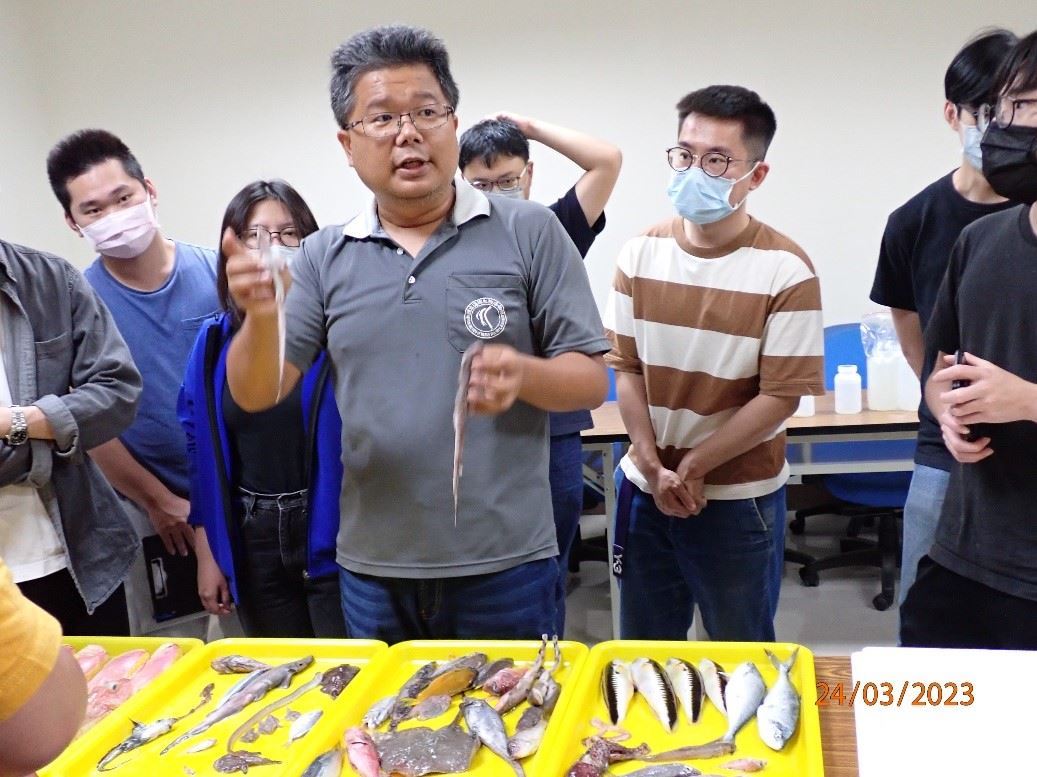 20230421解各魚類特徵