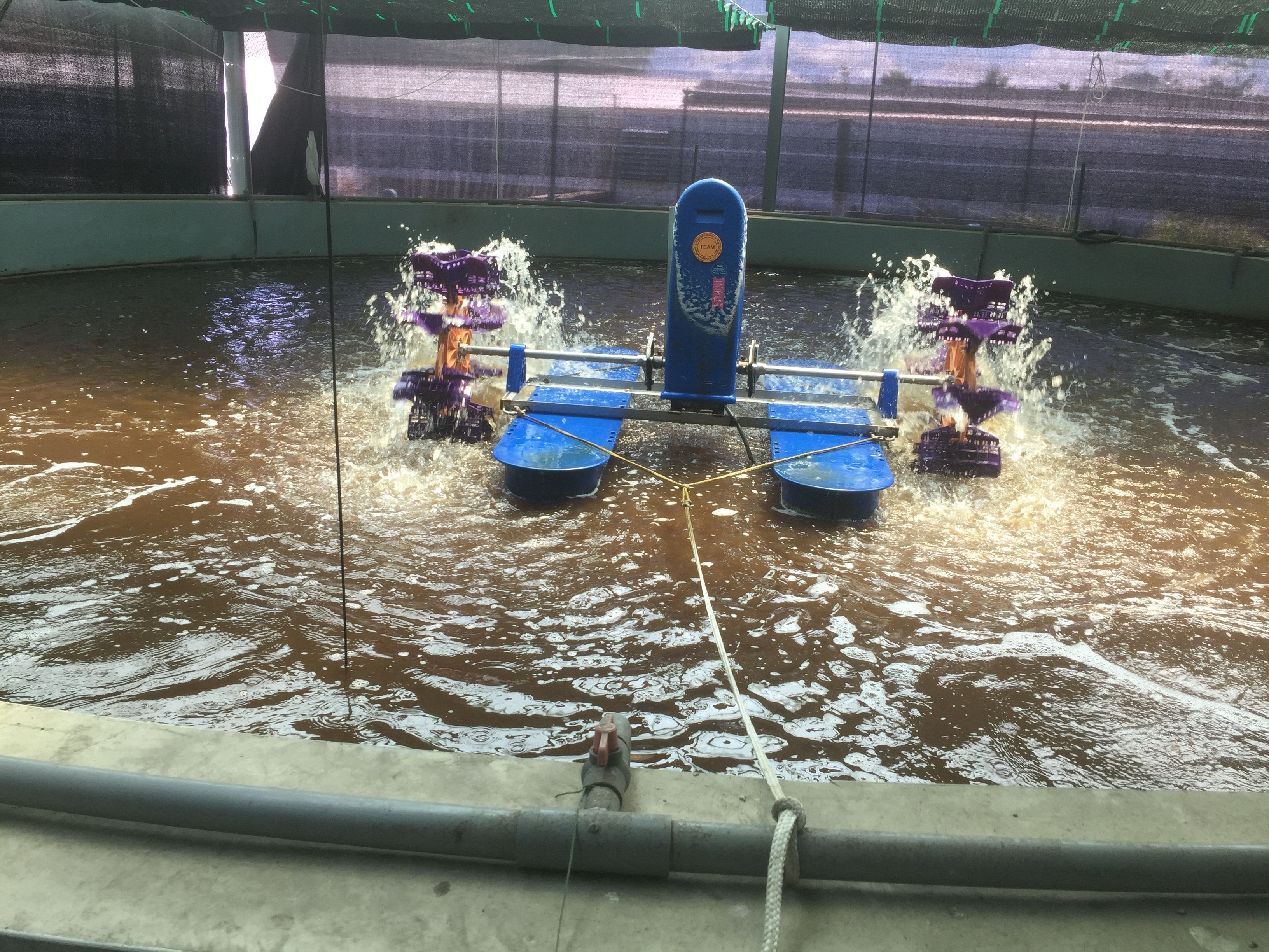 2568EC99-FD02-4B05-A15E-6BACBDA9B5C7