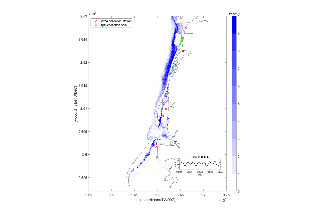雲林牡蠣採苗區鄰近海域之潮位與海底地形資料建構電腦數值模式預測牡蠣採苗時機