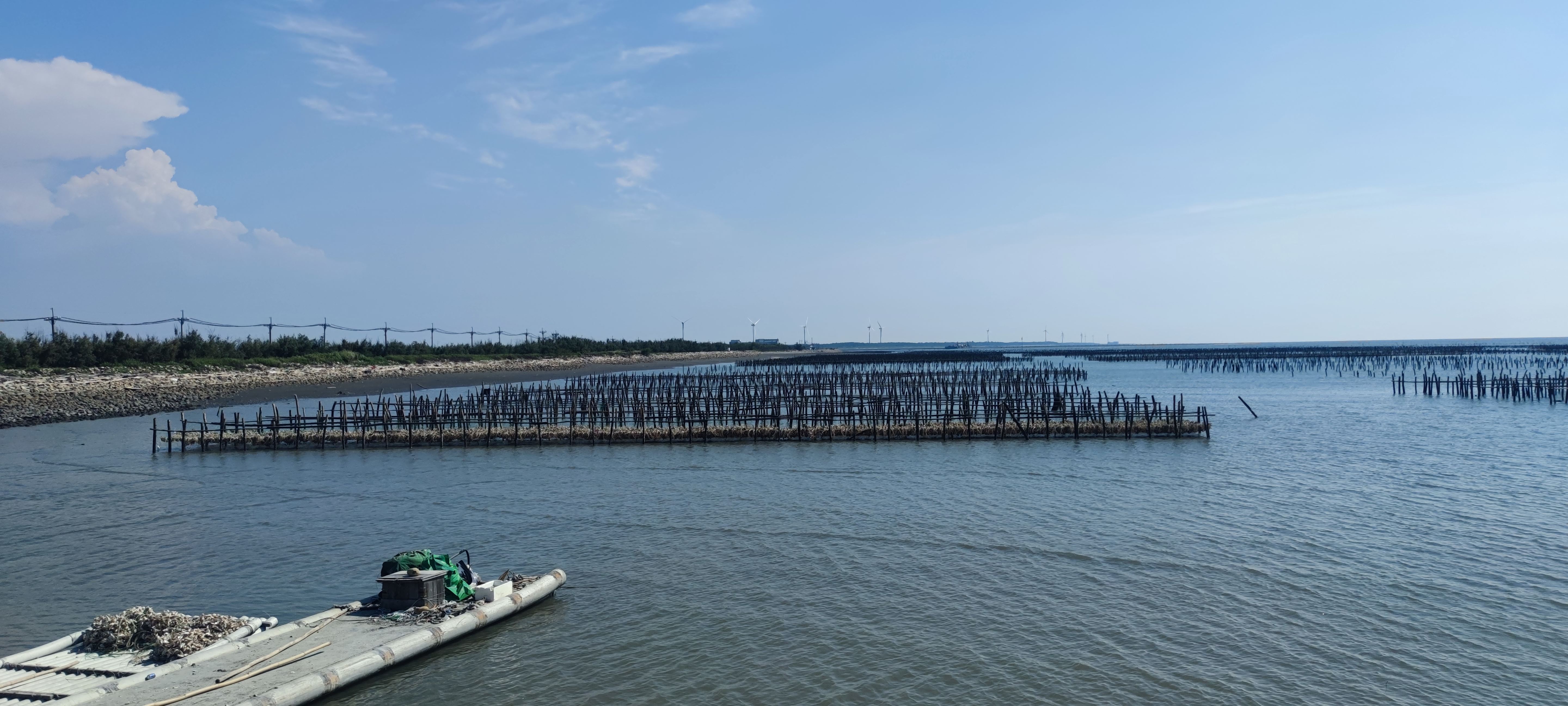 雲林沿海牡蠣採苗區