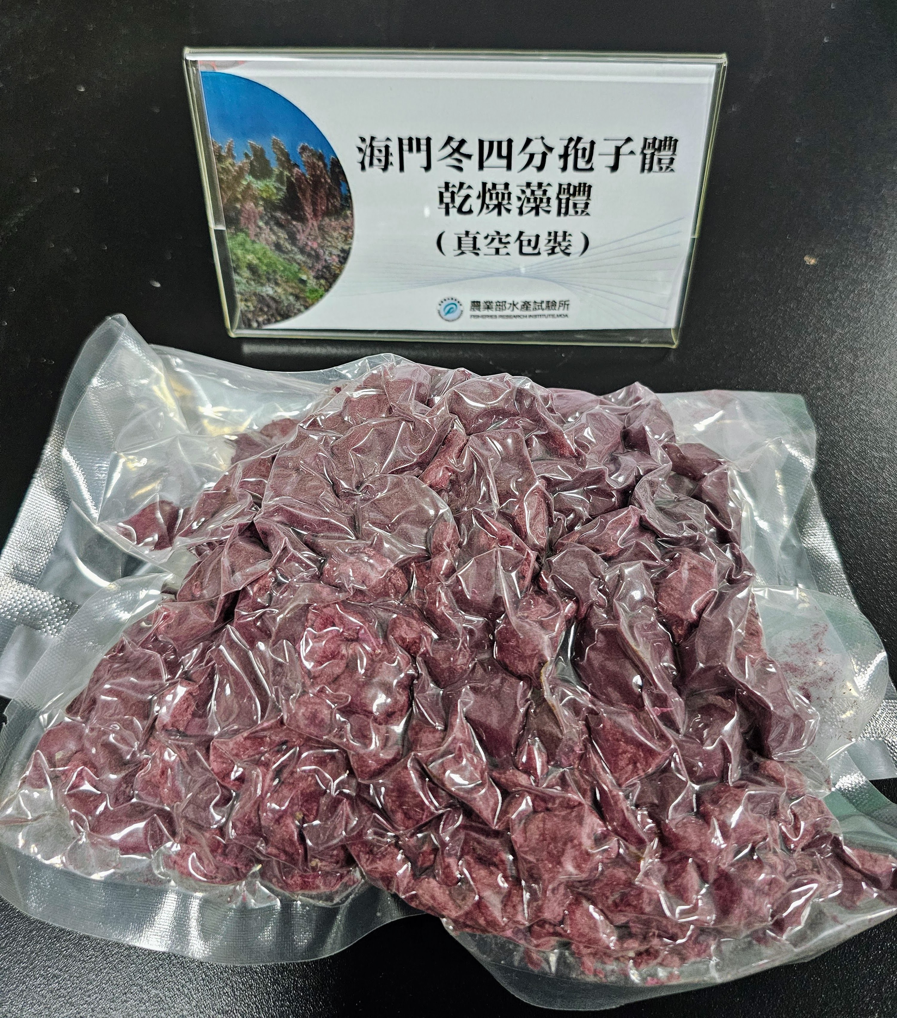 圖2、水試所開發之海門冬四分孢子體生產技術所得藻體，已驗證能有效降低乳牛甲烷排放量，並已獲國內廠商高科生技股份有限公司承接技術移轉