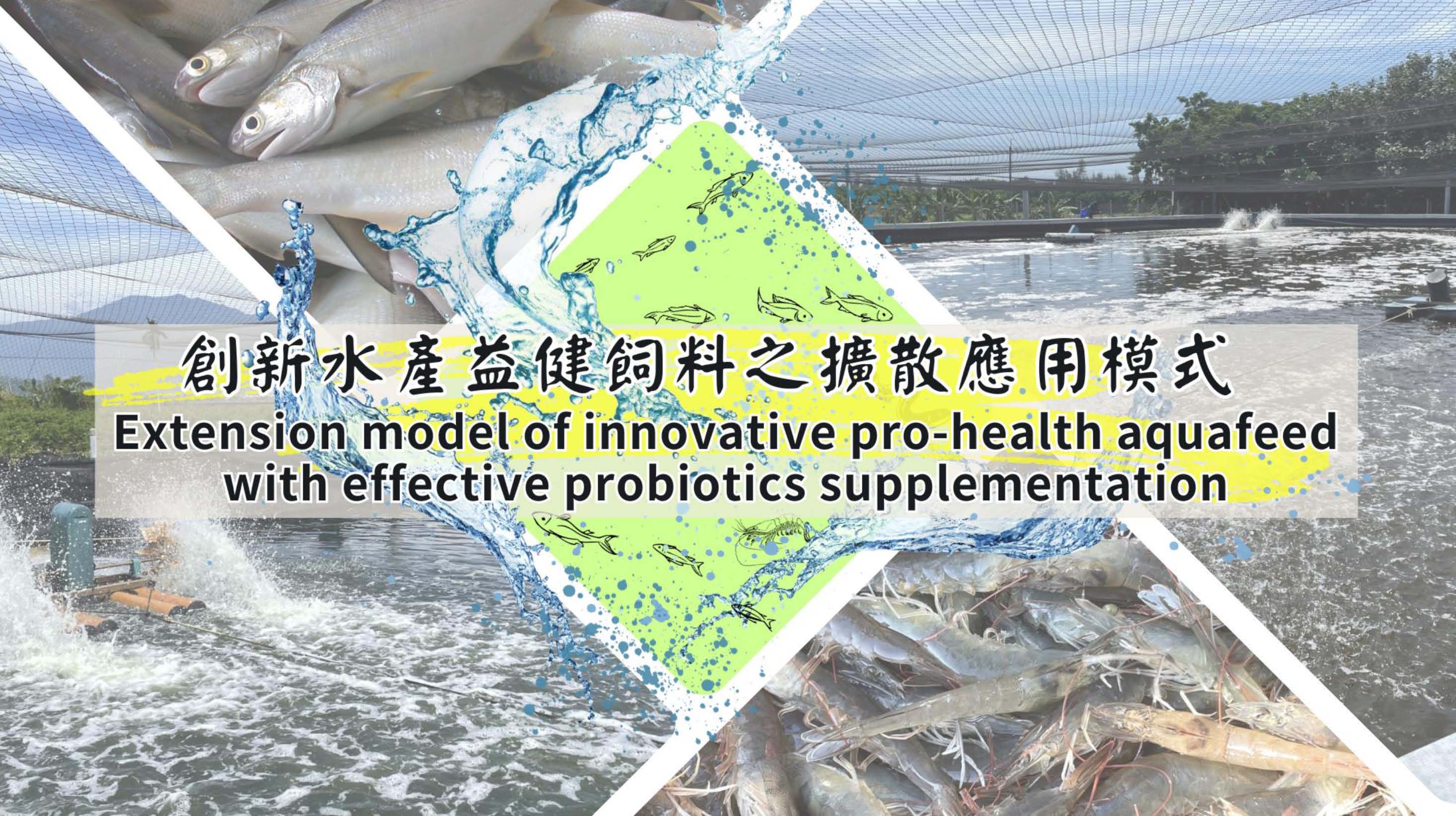 創新水產益健飼料之擴散應用模式