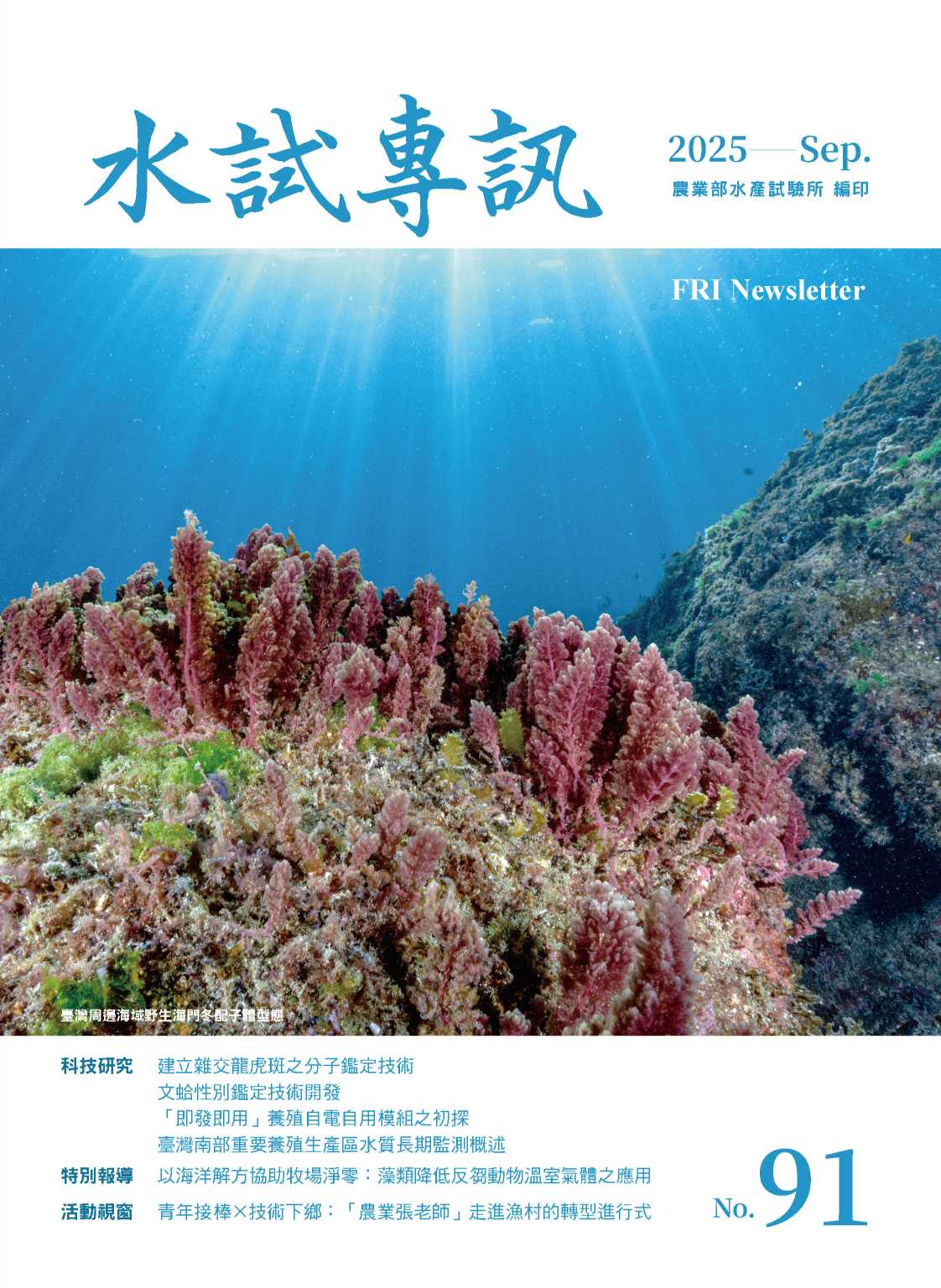114-7水試專訊91期