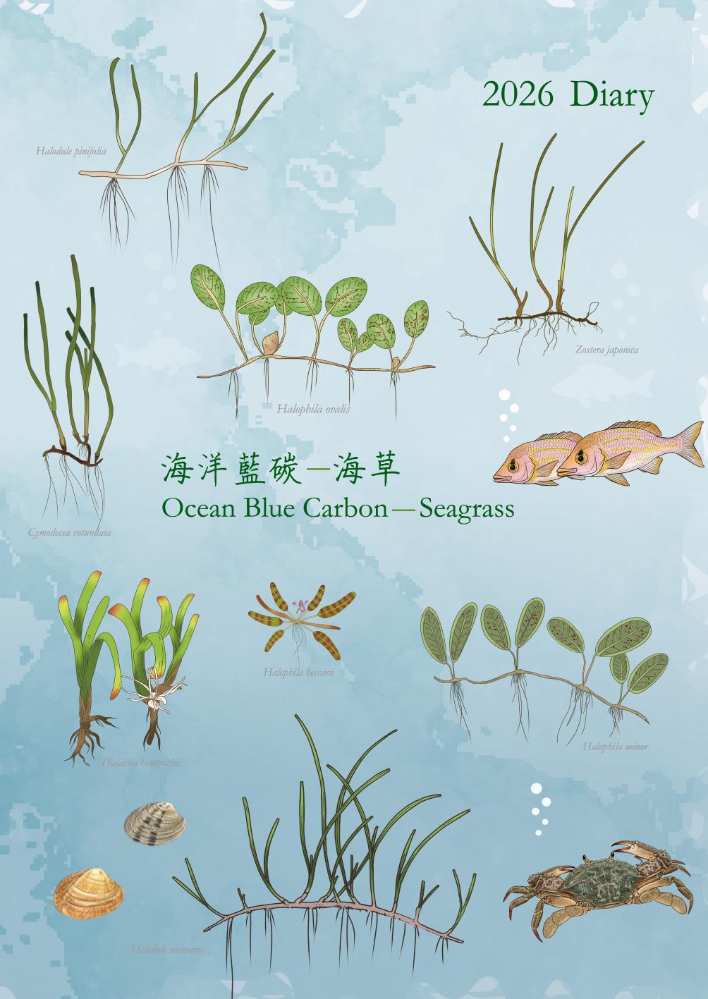 114-10 2026 Diary藍碳-海草