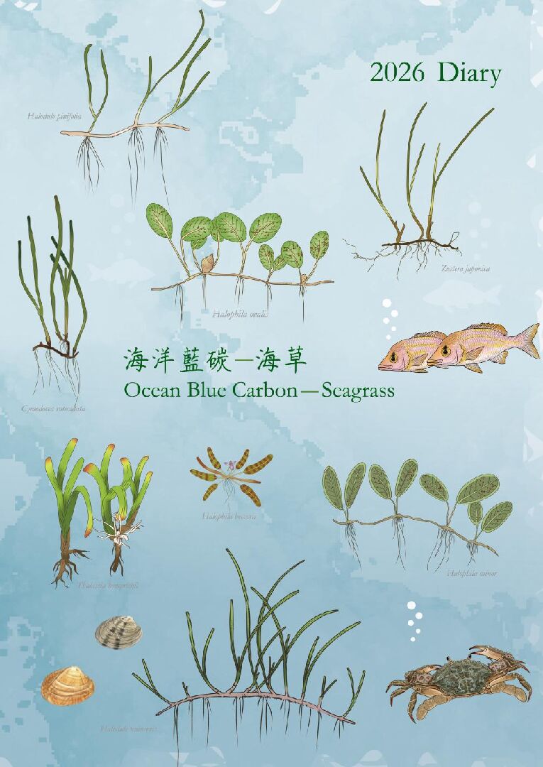 2026 Diary海洋藍碳-海草