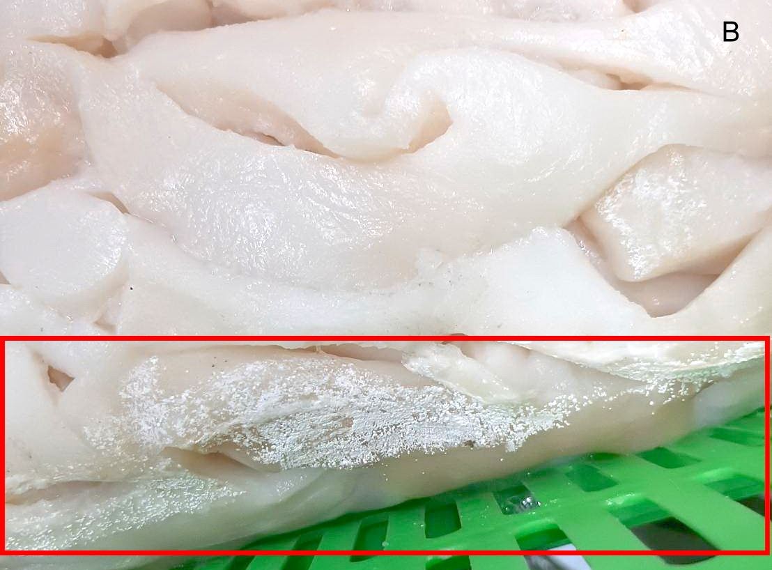 20220103魷魚碎肉-有白點(解凍)1B