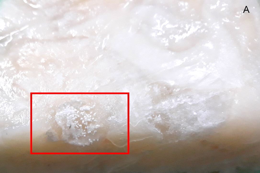 20220103魷魚碎肉-有白點(冷凍)1A