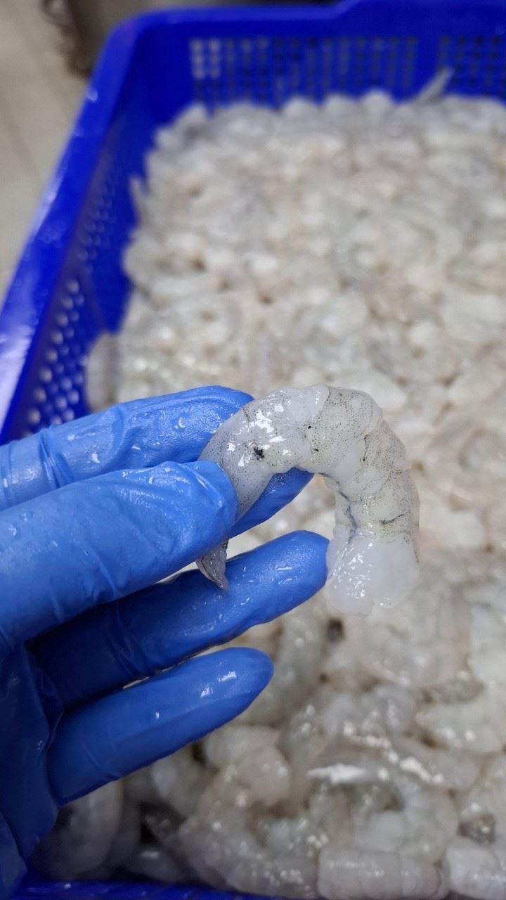 照片確認2