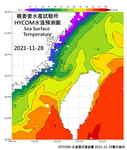 HYCOM水溫預測圖1128-1205